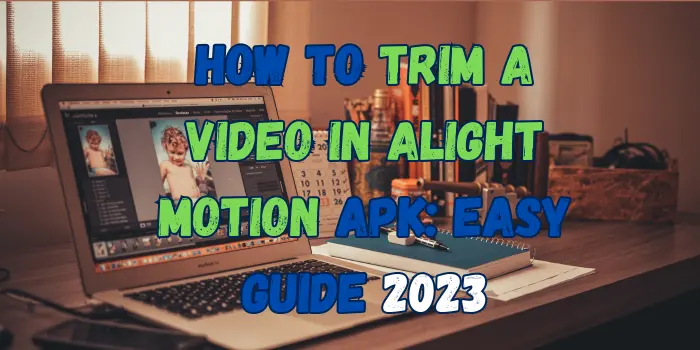 How to Trim a Video in Alight Motion APK